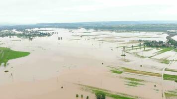 Antenne Aussicht Fluss Das übergelaufen nach schwer Regen und überflutet landwirtschaftlich Felder video