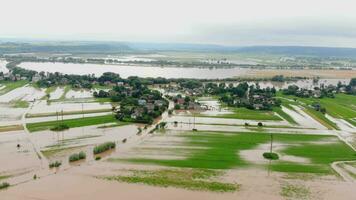 Ukraine. Galych 24 June 2020. Floods and flooded fields of agricultural land. The river flooded the farm fields. Fields of wheat and various crops under water. video