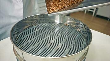 Pouring wheat grain into a sieve for further filtering and cleaning. Slow movement of grain filling video