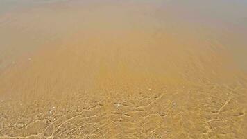 alto Visualizza di un' onda nel lento movimento in arrivo a un' sabbioso spiaggia. sfondo o struttura di sabbioso spiaggia e mare onde. video