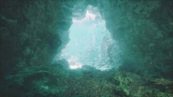 un cueva con un agujero en el medio de eso video