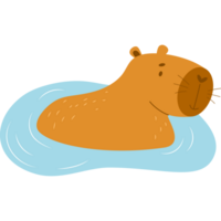 capivara dentro água png