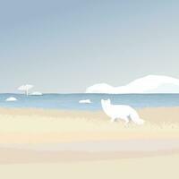Arctic Fox in tundra seeing beluga whale in the ocean with coastal and iceberg behind vector illustration. Snow landscape concept have blank space.