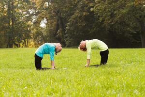 Two woman doing yoga in nature. photo