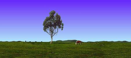 Cow and Tree photo