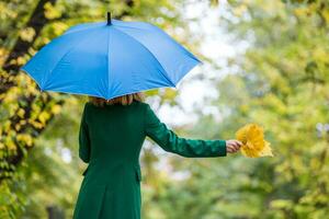 mujer participación paraguas y otoño hojas mientras en pie en el parque. foto