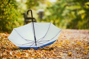 Photo of open umbrella in the park surrounded with fall leaves