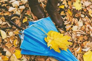 Close up photo of umbrella, fall leaves and woman in boots standing in the park.