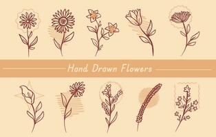 10 shape of different hand drawn flowers with brown colored outline doodle vector illustration set collection isolated on horizontal plain background. Natural botanical flora drawing.