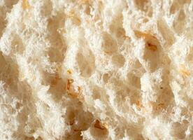 Macro or Close up bread. Lines, tissue or bread texture. Close up view of bread texture. photo