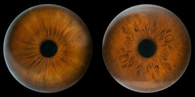 Close up of human eye iris brown color details on black background. photo