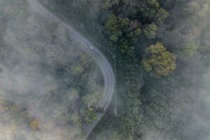 Aerial view of forest road photo