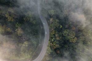 aéreo ver de bosque la carretera foto