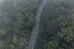 Aerial view of forest road photo