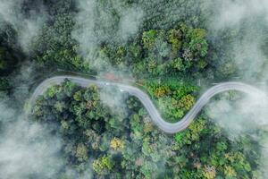 bosque la carretera y Mañana niebla, alto ángulo foto