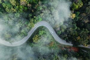 bosque la carretera y Mañana niebla, alto ángulo foto