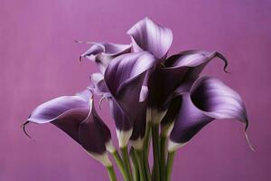 AI generated Bouquet of purple calla lilies against purple background.AI Generated photo