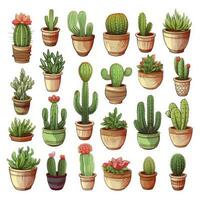 ai generado el cactus conjunto en blanco antecedentes. clipart ilustraciones. ai generado foto