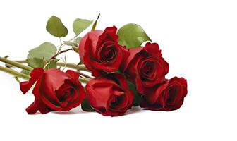 AI generated Red rose bouquet isolated on white background. AI Generated photo