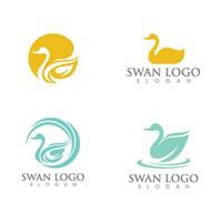 Swan icon Template vector