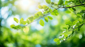 AI generated a green tree branch with sunlight shining through it photo