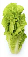 AI generated Lettuce isolated on white background. AI Generated photo