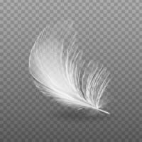 Vector 3d realistic falling feather closeup isolated on transparency mesh background. Design template, image of angel or bird feather.