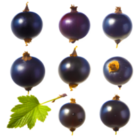 AI generated Blackcurrant sliced isolated on transparent background png
