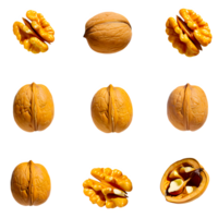 AI generated Walnut sliced isolated on transparent background png