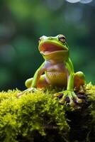 AI generated Green tree frog sitting on moss in the rainforest. Wildlife scene from nature. photo