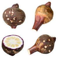 AI generated Raw taro sliced isolated on transparent background png