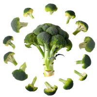 AI generated broccoli sliced isolated on transparent background png