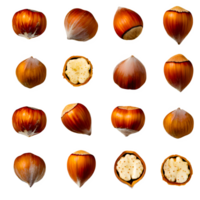 AI generated Hazelnut sliced isolated on transparent background png