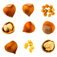 AI generated Hazelnut sliced isolated on transparent background png