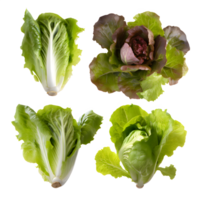 ai generiert frisch Grüner Salat geschnitten isoliert auf transparent Hintergrund png