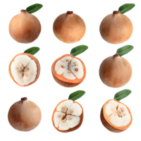 AI generated Santol fruit sliced isolated on transparent background png