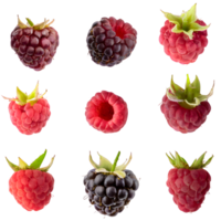 AI generated fresh raspberry isolated on transparent background png