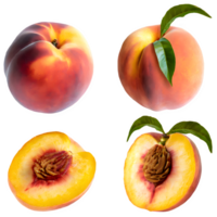 AI generated fresh peach and sliced isolated on transparent background png