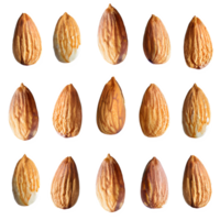 ai généré amandes isolé sur transparent Contexte png