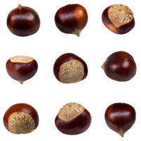 AI generated chestnut fruit and sliced isolated on transparent background png