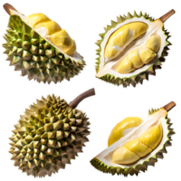 AI generated durian fruit and sliced isolated on transparent background png