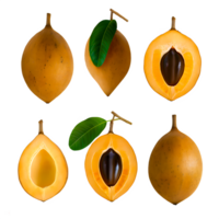 AI generated Sapodilla sliced isolated on transparent background png