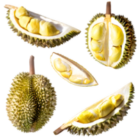 AI generated durian fruit and sliced isolated on transparent background png
