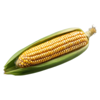 AI generated fresh organic corn isolated on transparent background png