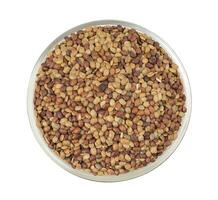 Red Lentil Seeds on White Background photo