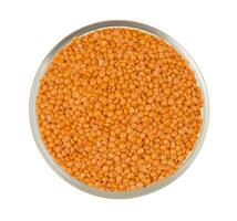 Red Lentils or Masoor Dal photo