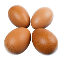 AI generated Four eggs on transparent background png