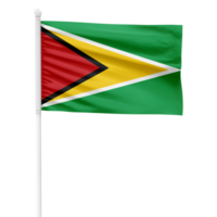 realistisk tolkning av de guyana flagga vinka på en vit metall Pol med transparent bakgrund png