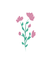 esthétique rose fleurs png