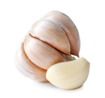 frisch Knoblauch Birne mit Nelke isoliert mit Ausschnitt Pfad und Schatten im png Datei Format